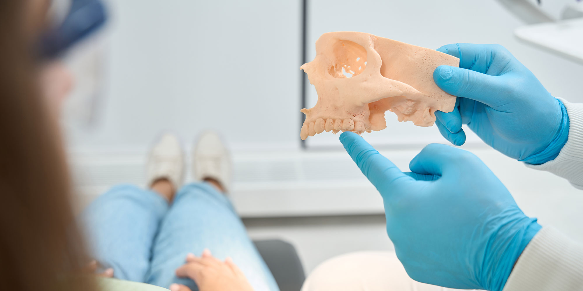 dentist pointing at 3d model of jawbone and teeth